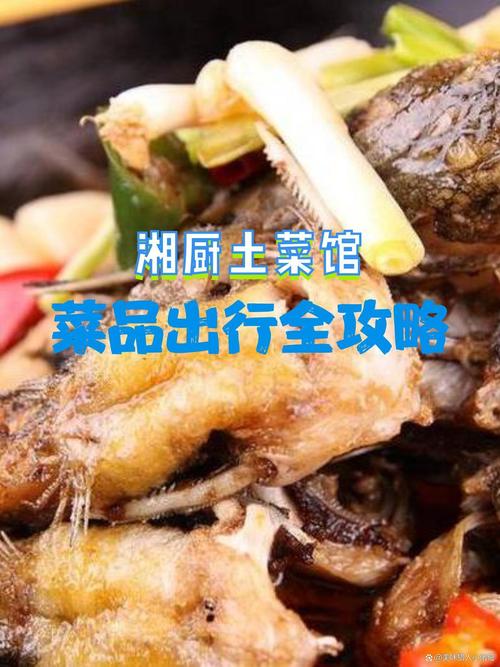 山东湘菜店加盟,一网打尽美食与商机,加盟热线为您开启财富之门_山东湘菜店加盟电话多少 饮食大全 山东湘菜店加盟,一网打尽美食与商机,加盟热线为您开启财富之门_山东湘菜店加盟电话多少 山东湘菜店加盟,一网打尽美食与商机,加盟热线为您开启财富之门_山东湘菜店加盟电话多少 饮食大全